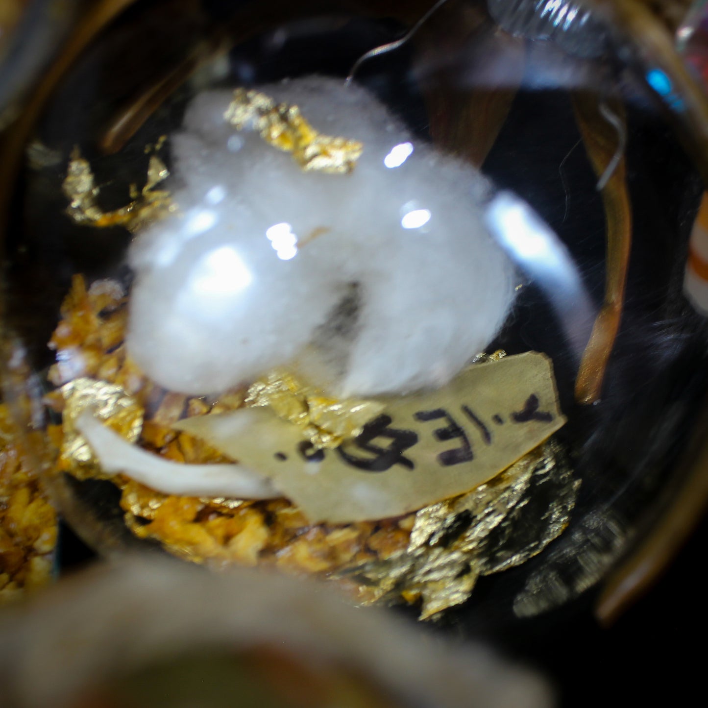 Witche's Ball