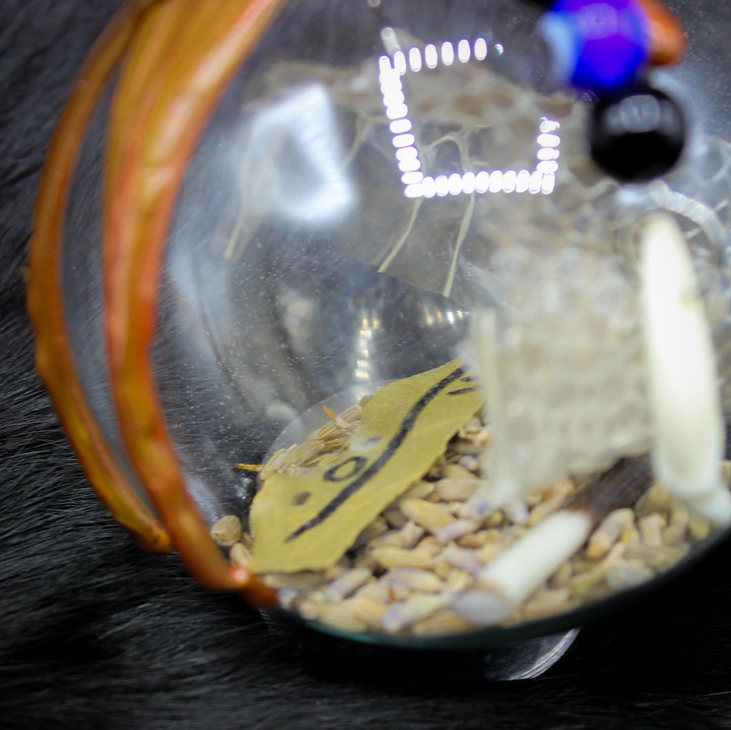 Witche's Ball