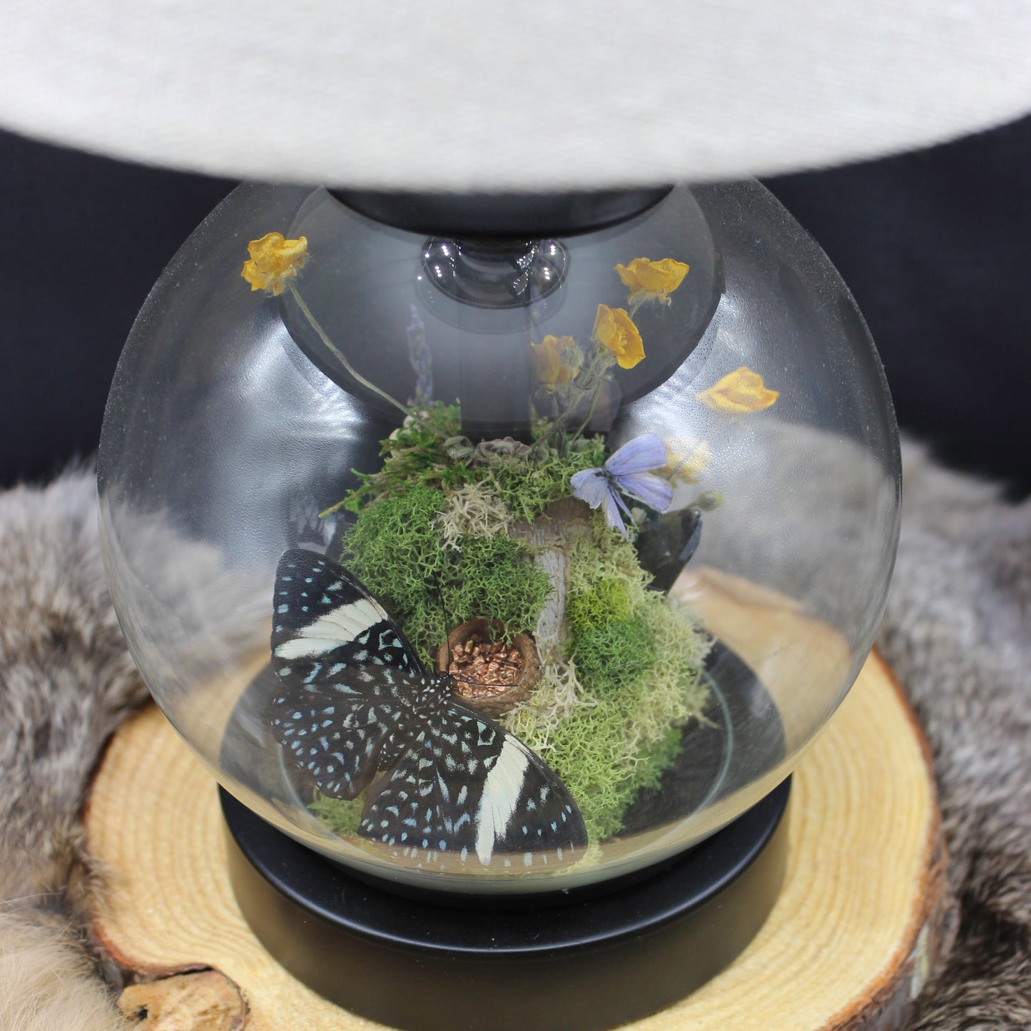 Butterfly Lamp