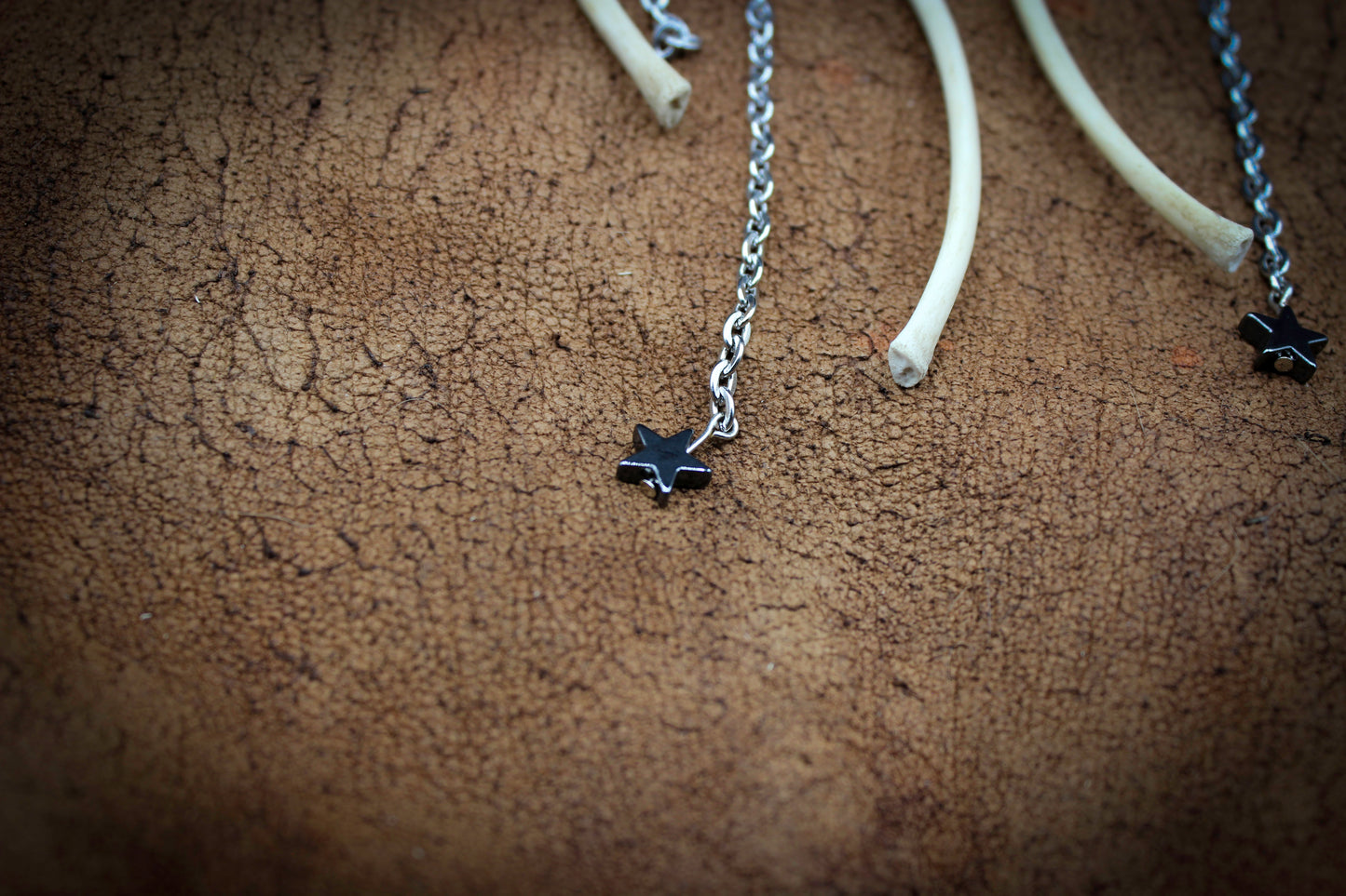 Bone & Crystal Earrings | Real Rib Bones