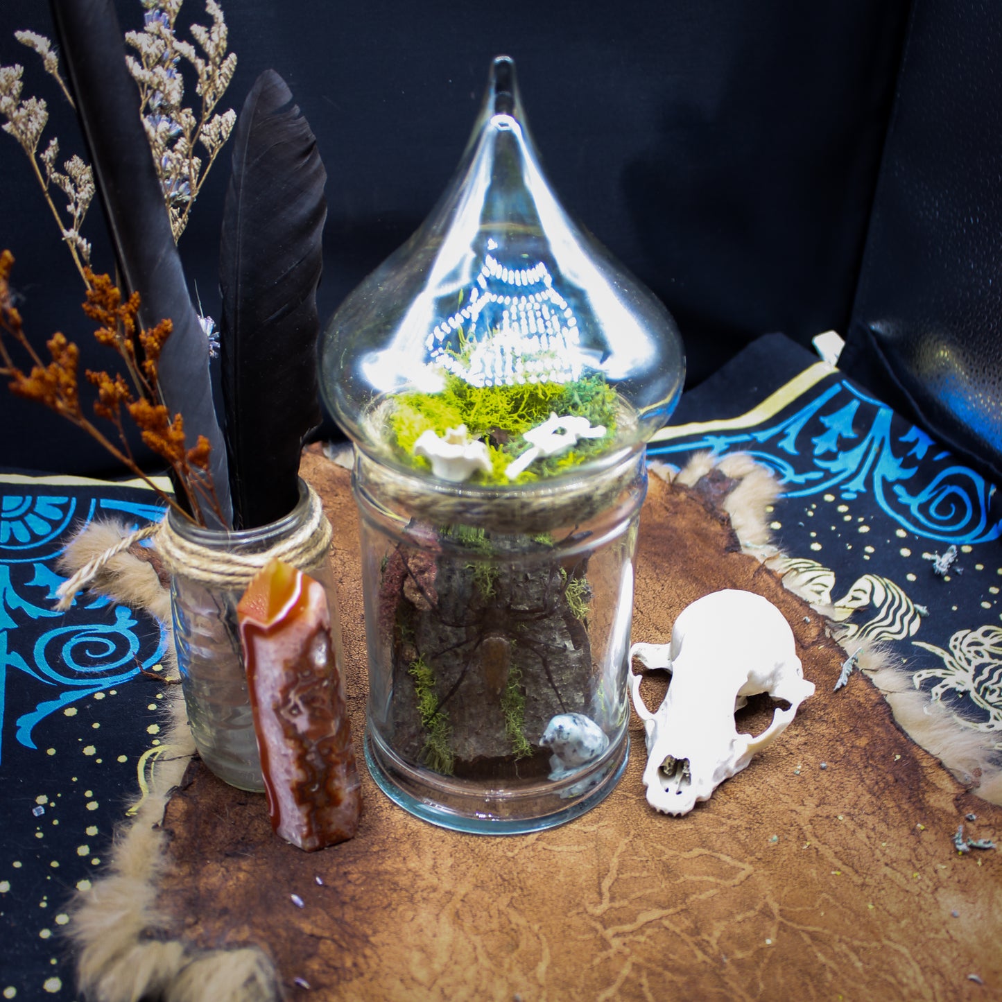 Orb Weaver Jar Display | Real Spider | Gothic Beauty Collection