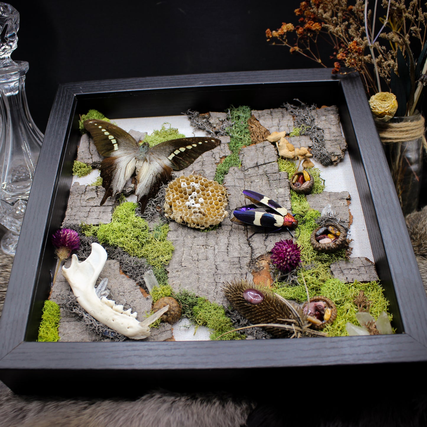 Butterfly & Beetle | Pinned Insect Frame | Mookaite Meadows