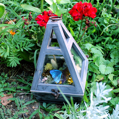 Morpho Butterfly Hanging Lantern