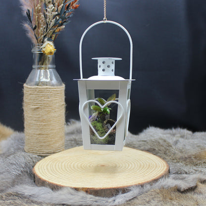 Scarab Mini Lantern | Copper Offerings Collection