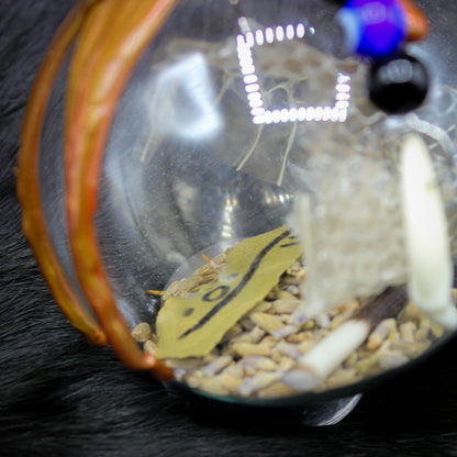 Witche's Ball